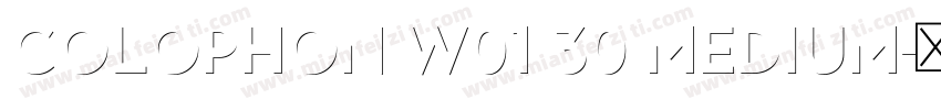 Colophon W01 30 Medium字体转换